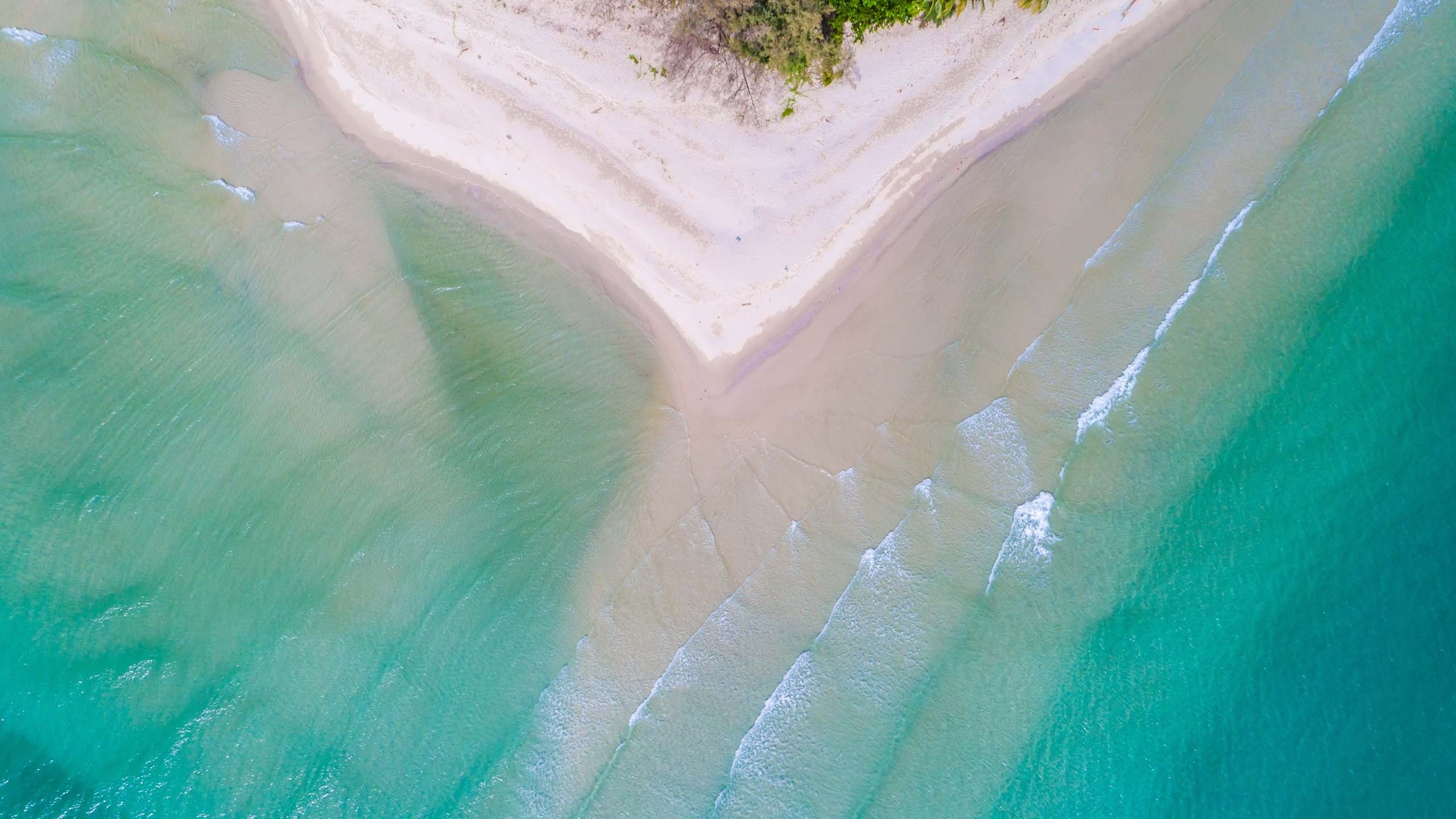 birdseye image of coastline